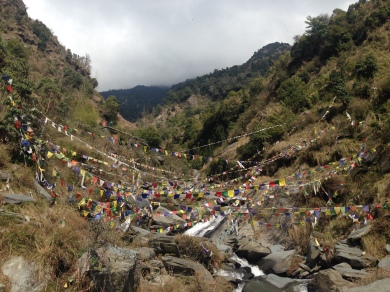 Dharamsala bhagsu waterfall2